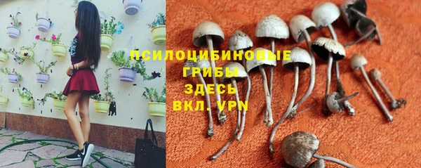 метадон Белокуриха