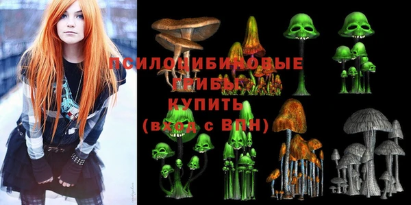 метадон Пересвет