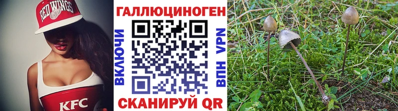 Псилоцибиновые грибы Magic Shrooms  Бор 
